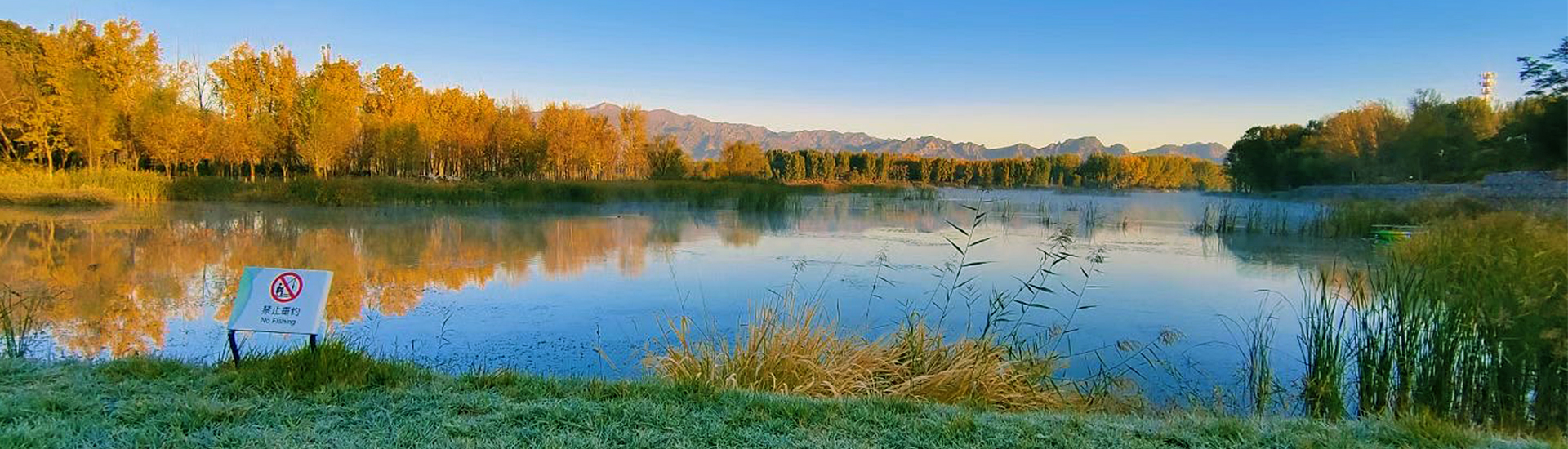 雀魂·(majsoul)官方网站