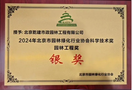 年度盘点 埋头前行不止步，携手共进创新程